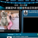 Illustration for article titled Porn Video Sneaks Into Nokia N8 Chinese Announcement Broadcast—UPDATED